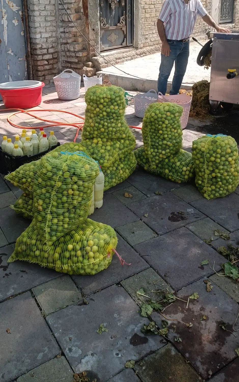 Fresh Lemons